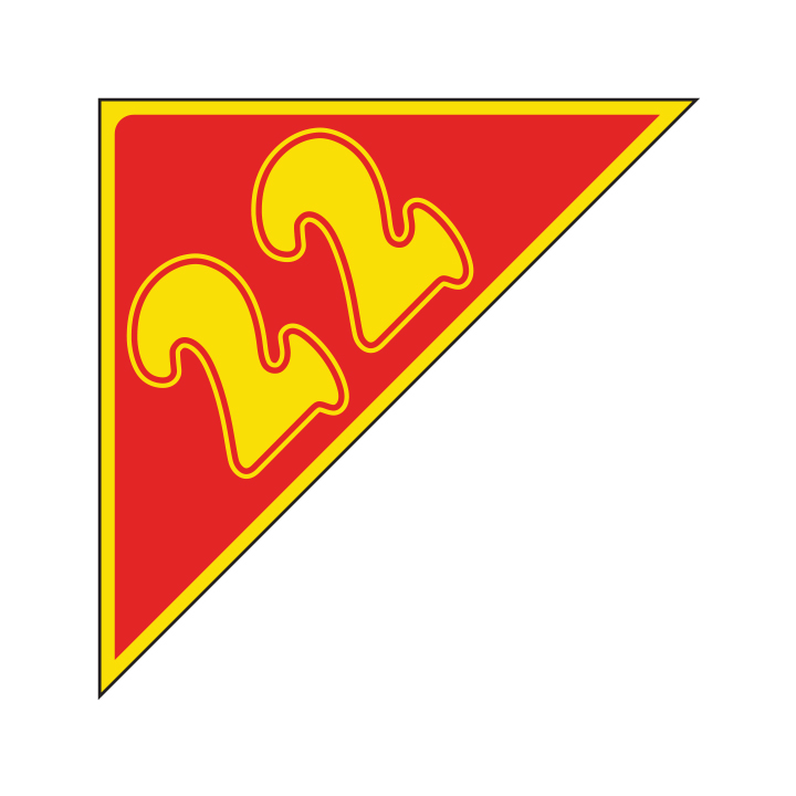 AUTO ANGLES - YELLOW & RED