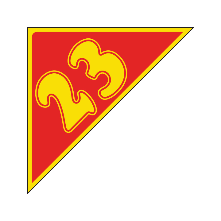 AUTO ANGLES - YELLOW & RED
