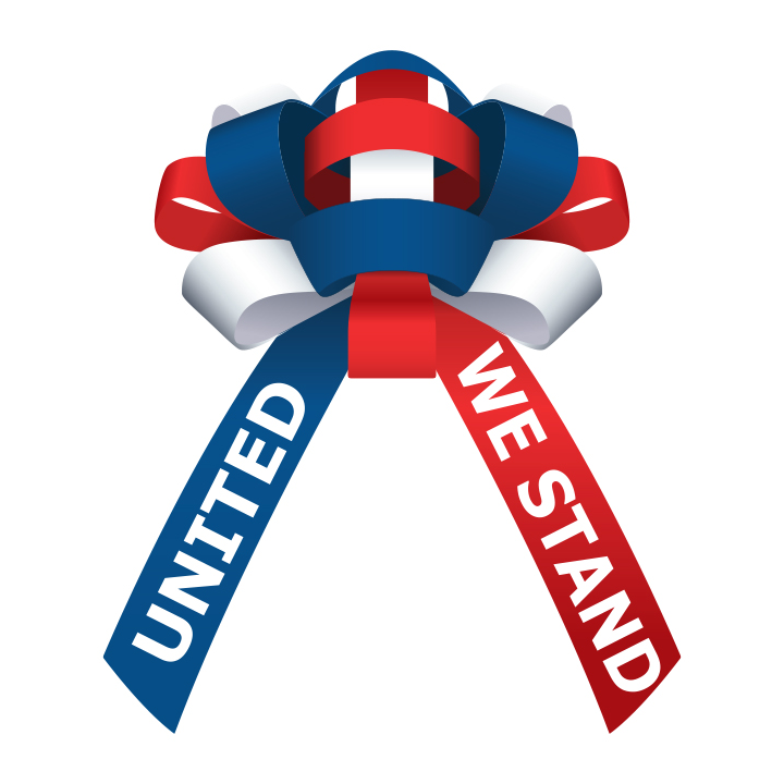 CUSTOM CAR BOWS - 30" SHINY VINYL