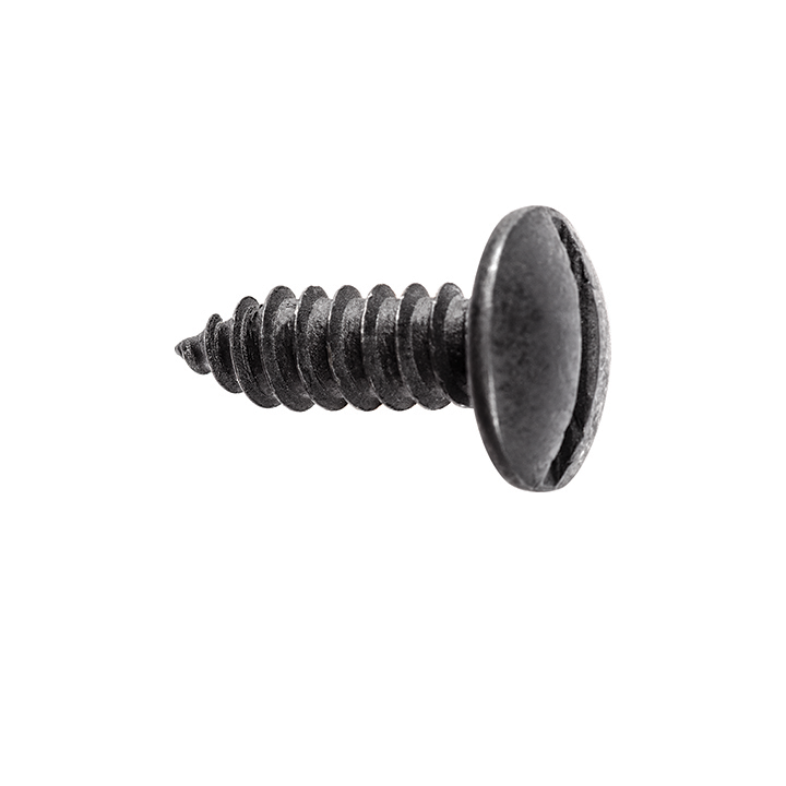 LICENSE PLATE SCREW SLOTTED TRUSS HEAD - BLACK E