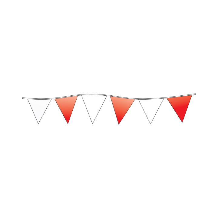 TRIANGLE PENNANTS